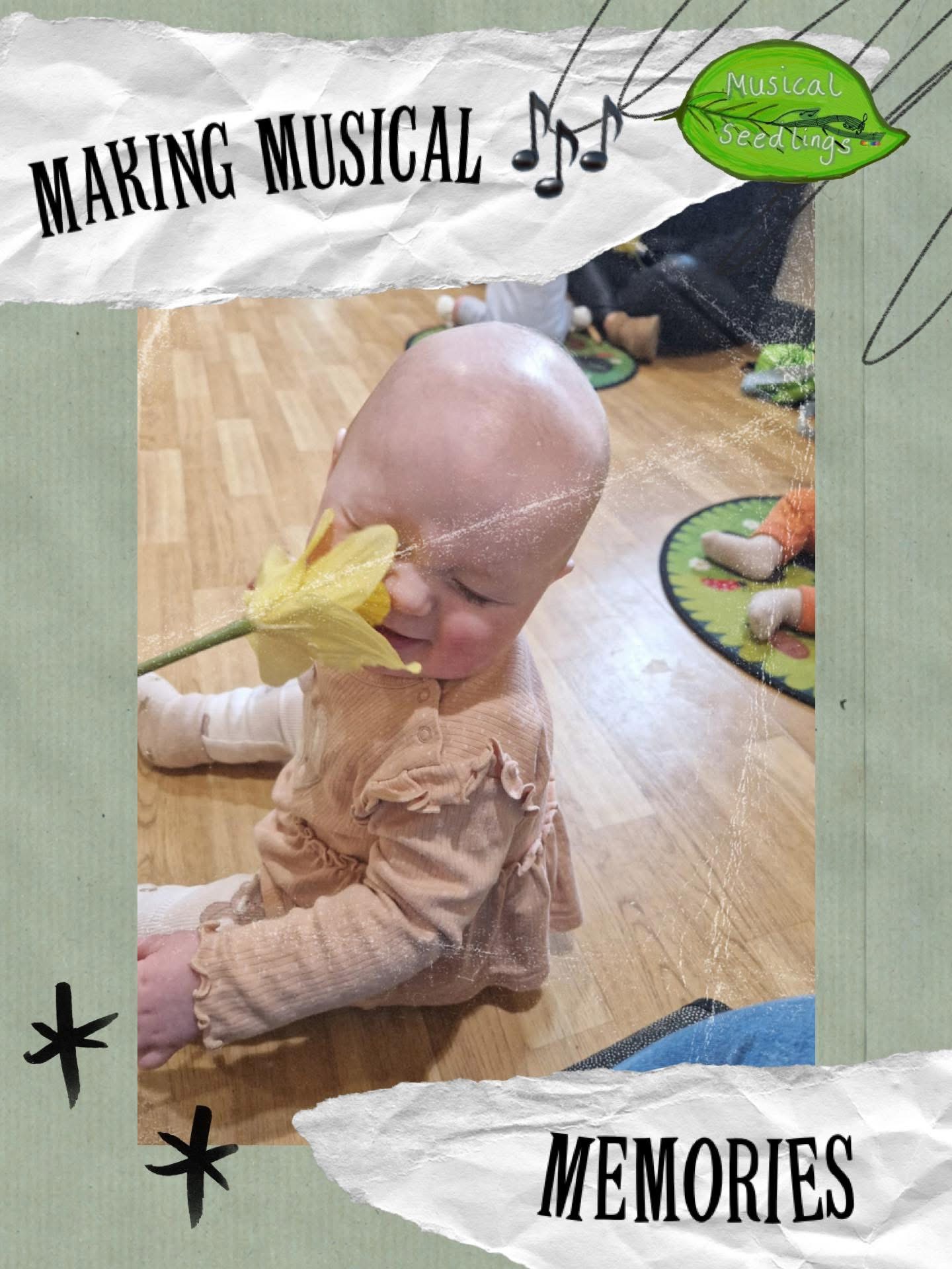 Musical seedlings gallery image 4