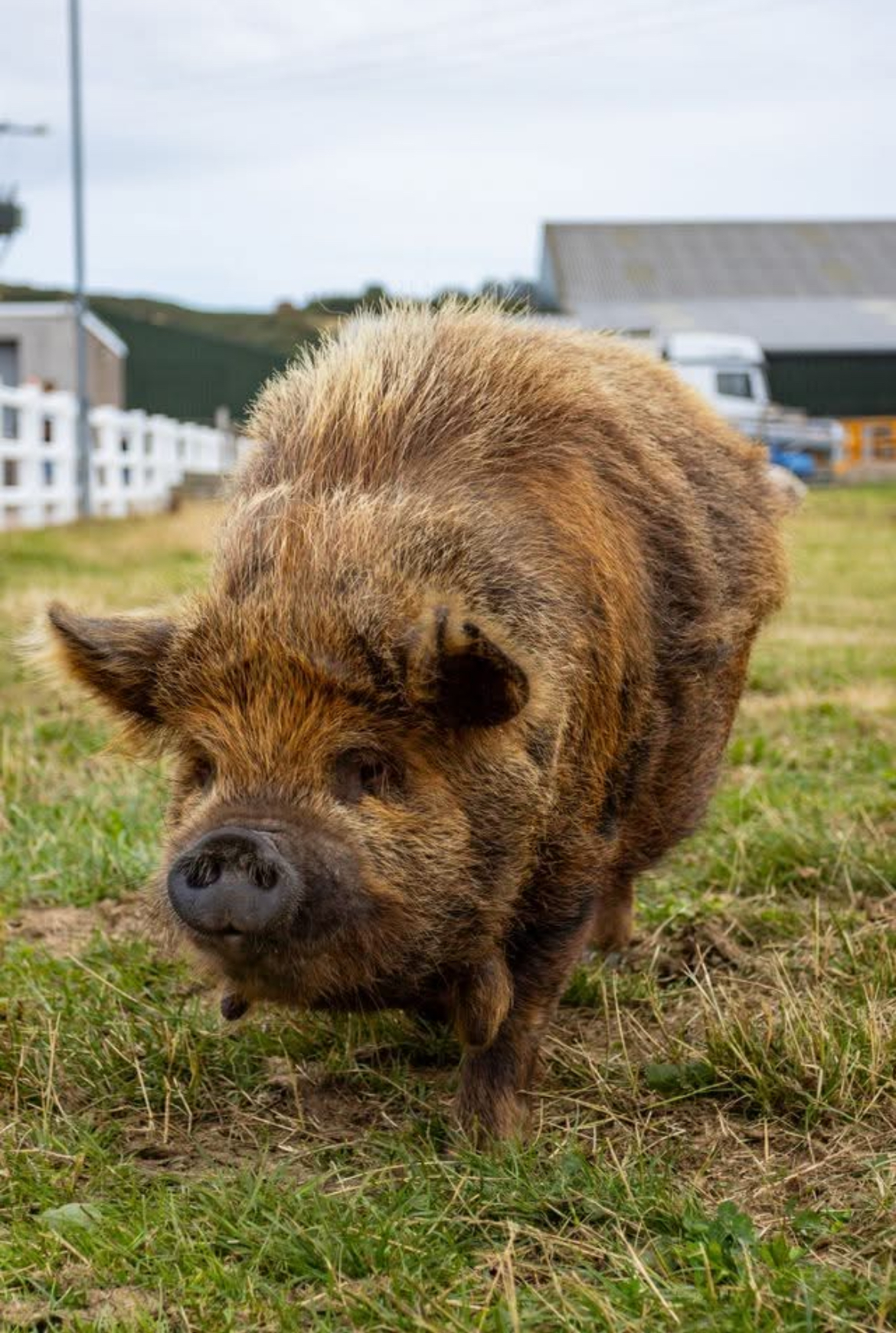 Tamala Farm Experience  gallery image 2