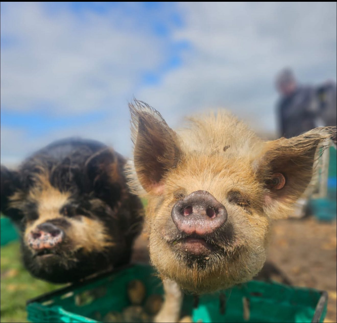 Tamala Farm Experience  gallery image 4