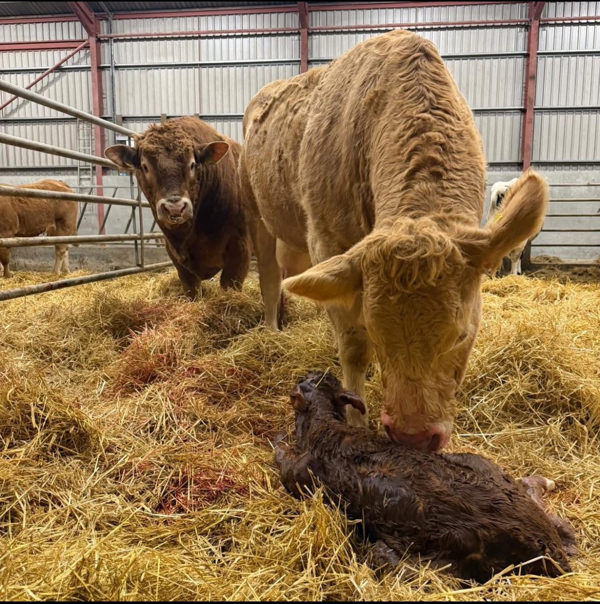 Tamala Farm Experience  gallery image 6