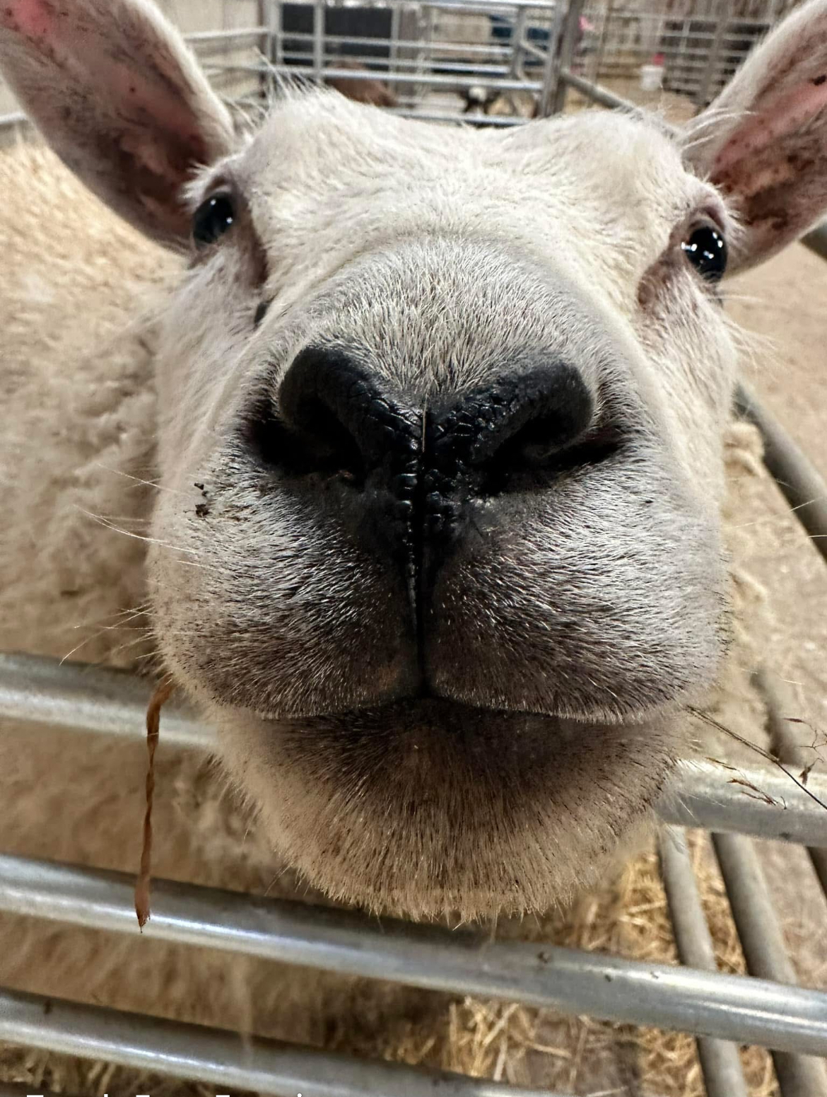 Tamala Farm Experience  gallery image 7