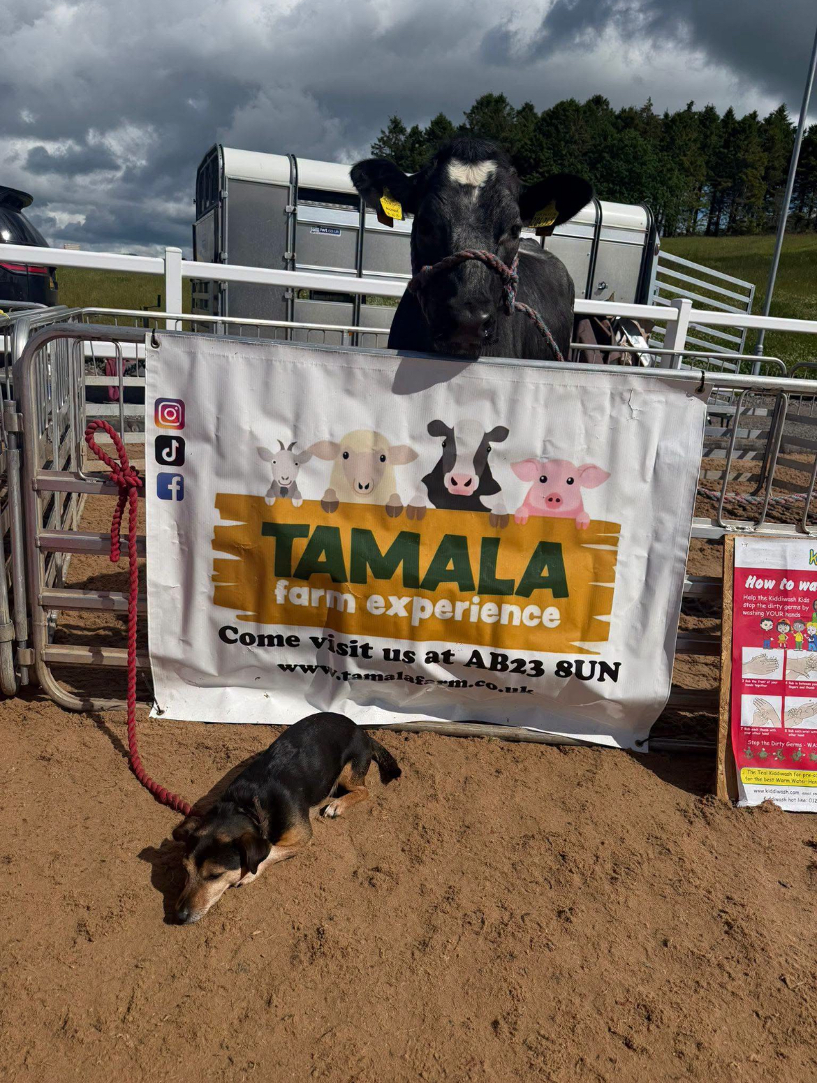 Tamala Farm Experience  gallery image 8