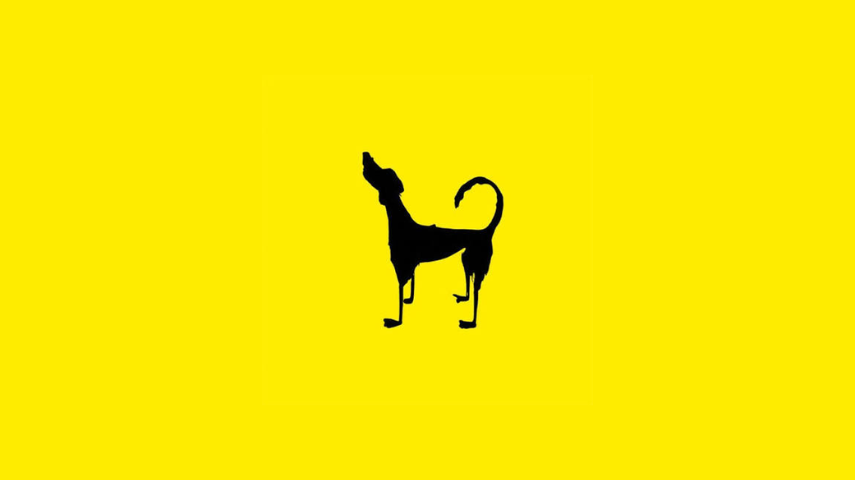 Big Dog Stories