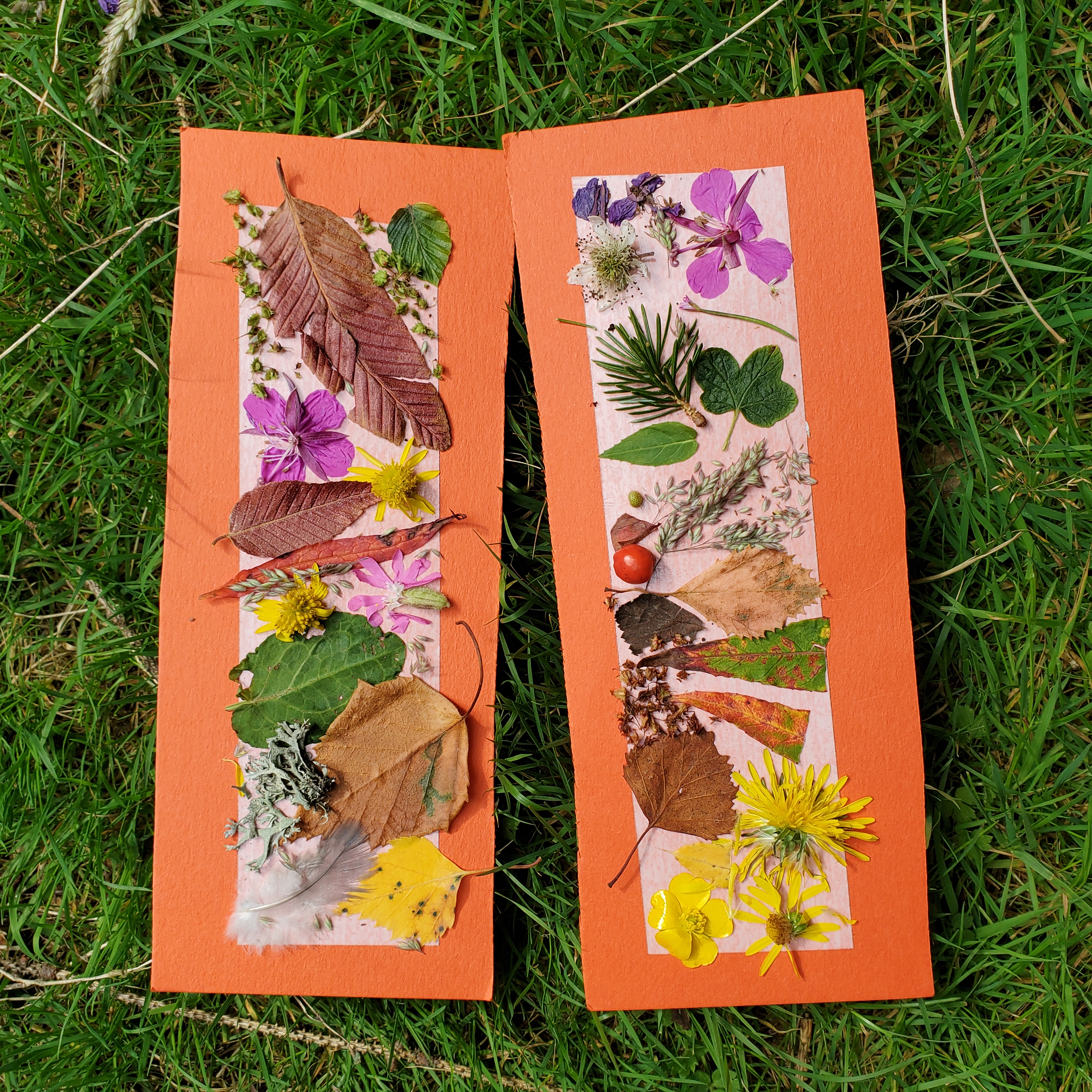 Mud Pies gallery image 2
