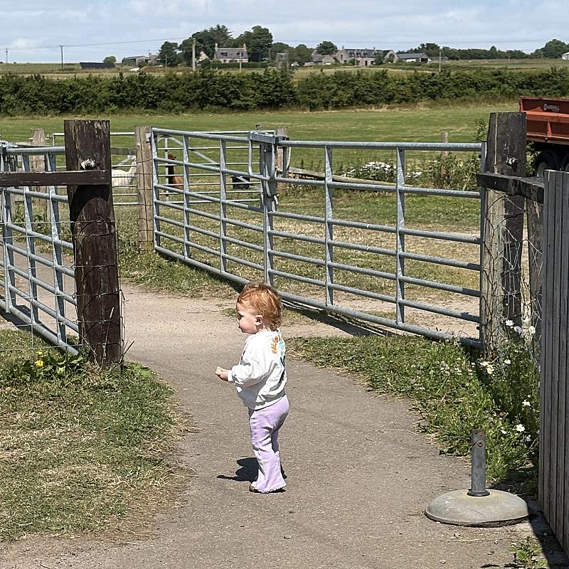 A day at Easter Anguston Farm